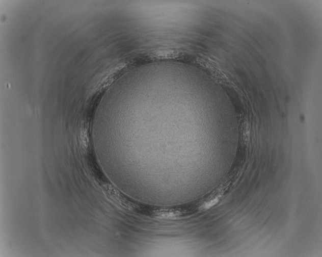 X0000076350746200610161758