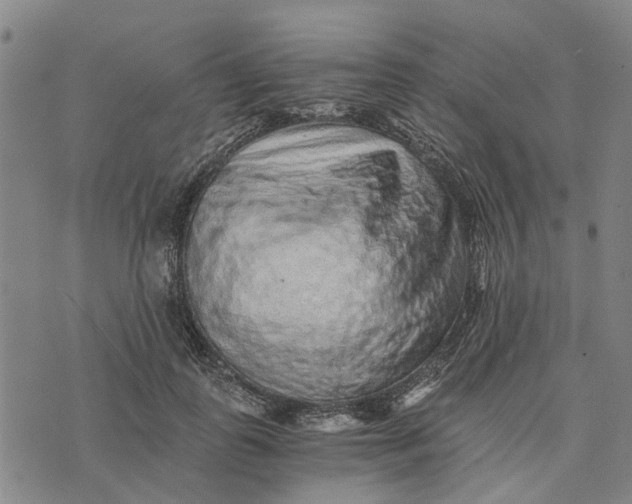 X0000076350747200610161758