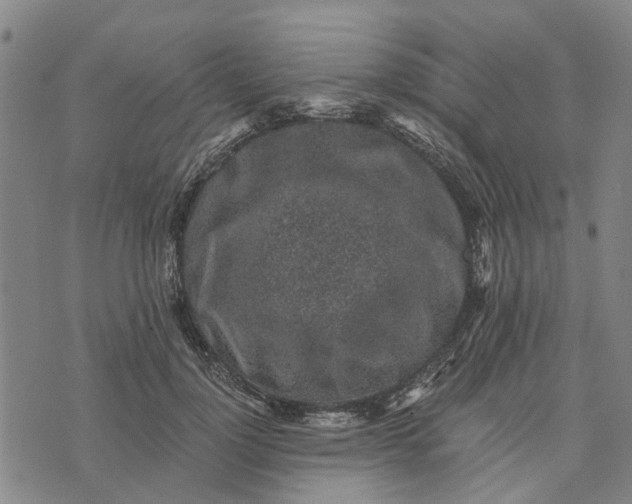 X0000076350748200610161758