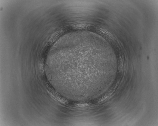 X0000076350749200610161758