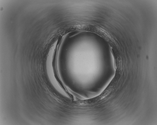 X0000076350750200610161758