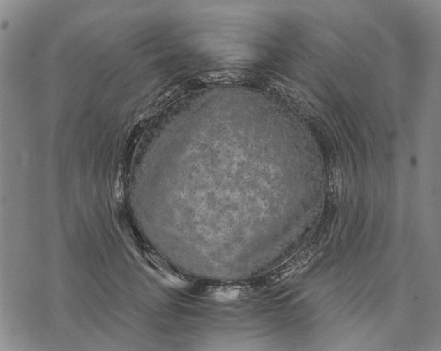 X0000076350751200610161758