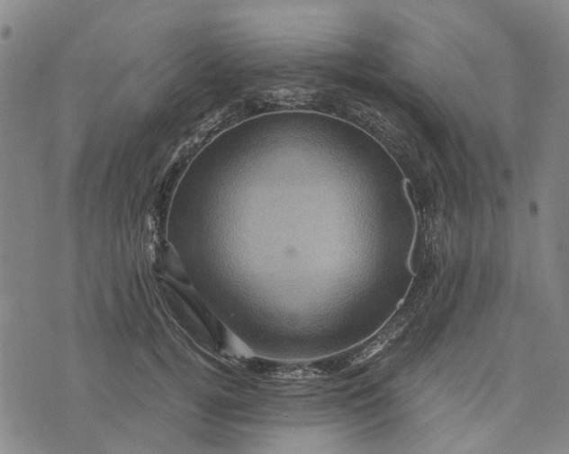 X0000076350752200610161758