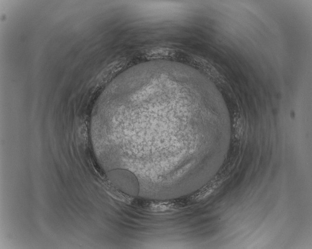 X0000076350753200610161758