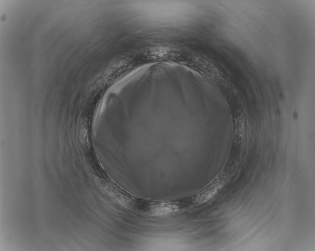 X0000076350754200610161758