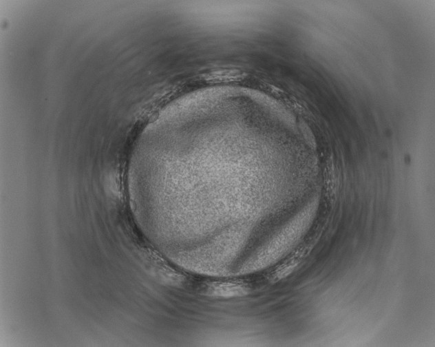 X0000076350755200610161758