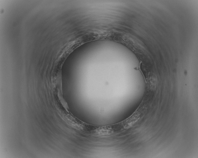 X0000076350756200610161758