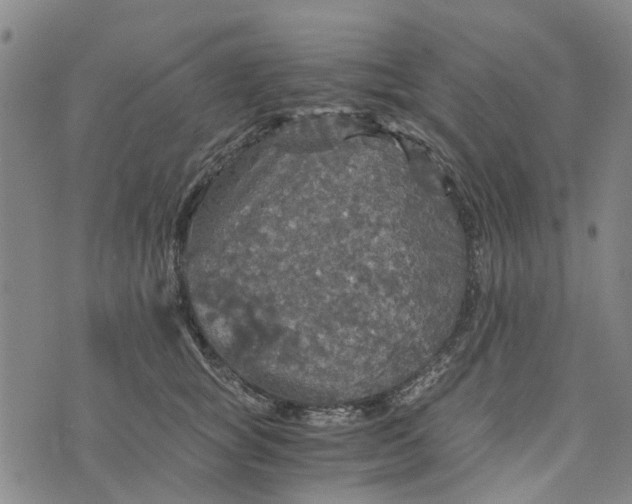 X0000076350757200610161758