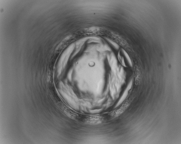 X0000076350758200610161758