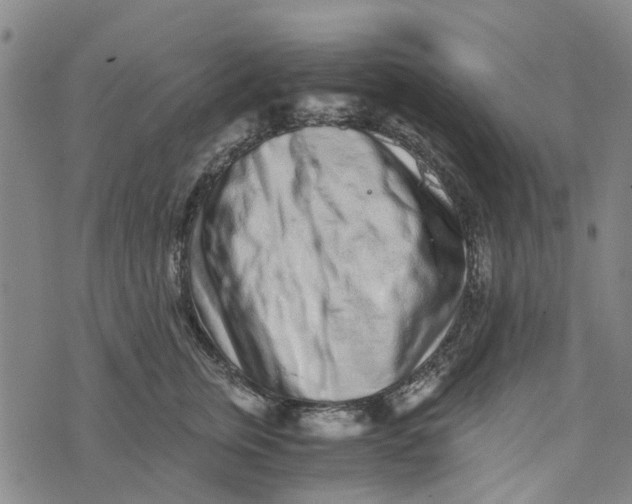 X0000076350759200610161758