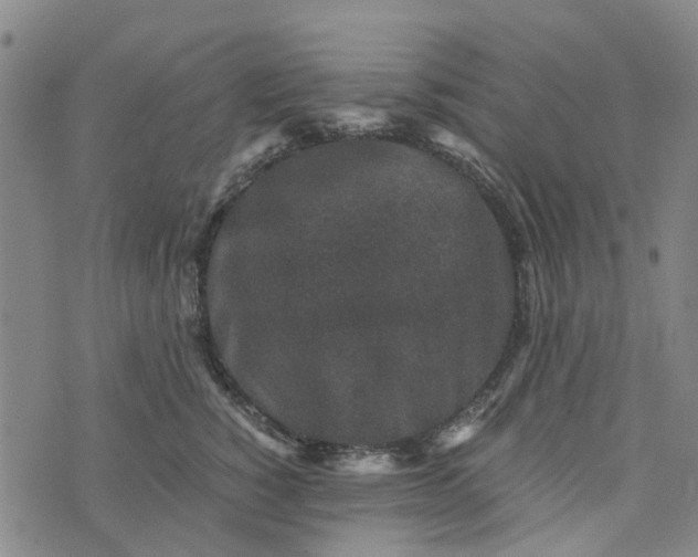 X0000076350760200610161758