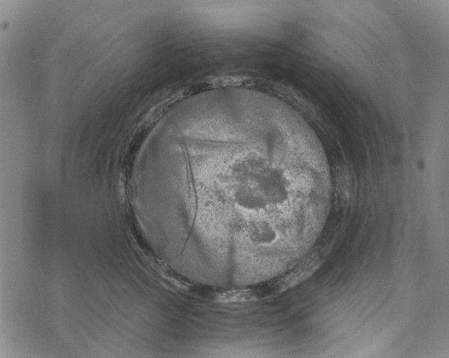 X0000076350761200610161758