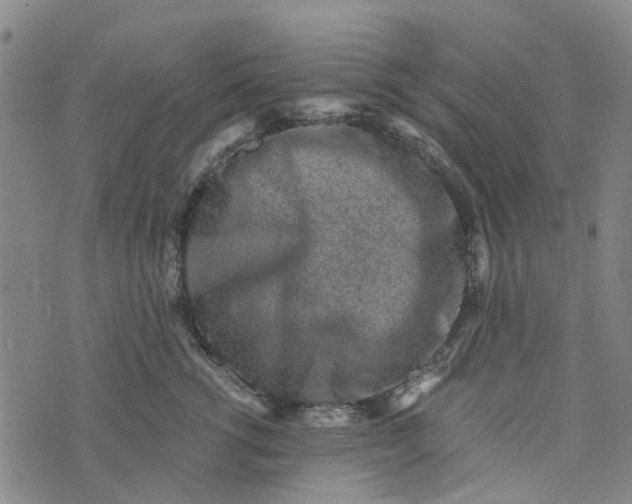 X0000076350762200610161758