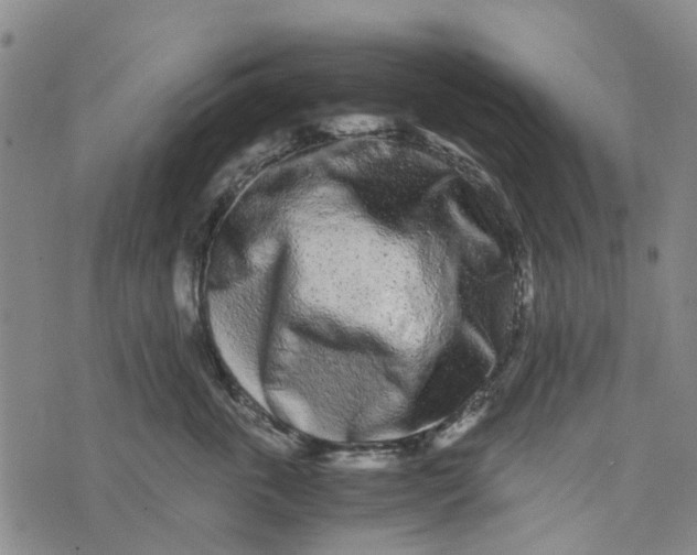 X0000076350763200610161759