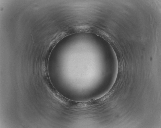 X0000076350764200610161759