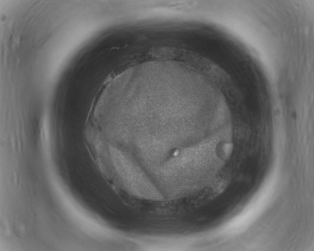 X0000076350765200610161759