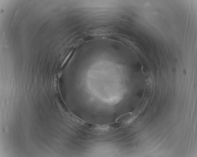 X0000076350767200610161759