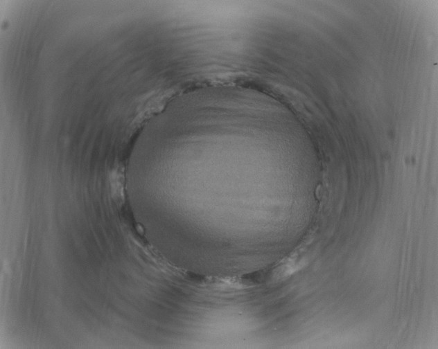 X0000076350768200610161759