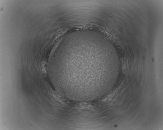 X0000076350770200610161758