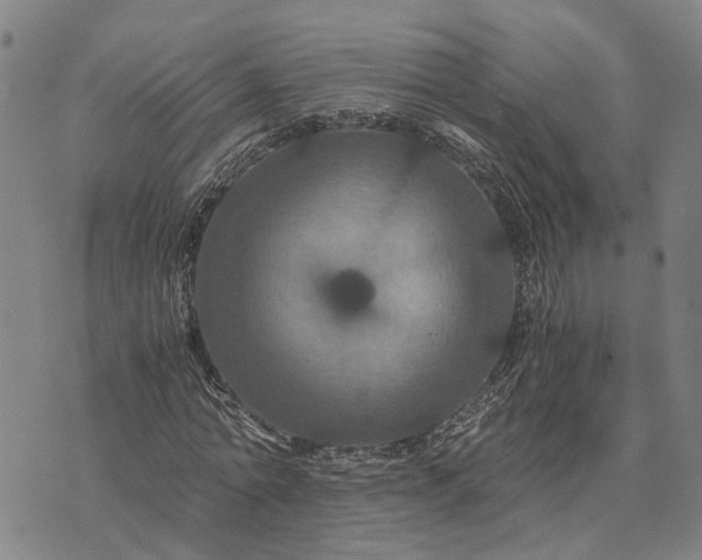 X0000076350774200610161758