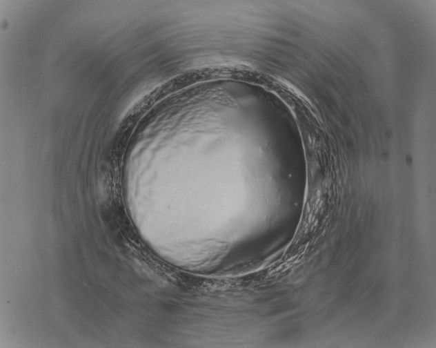 X0000076350775200610161758