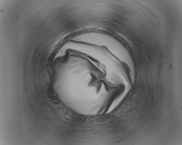 X0000076350776200610161758