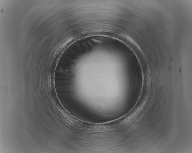 X0000076350777200610161758