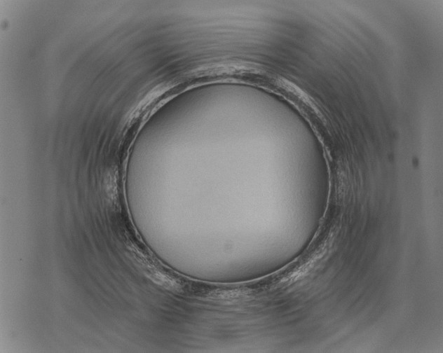 X0000076350778200610161758