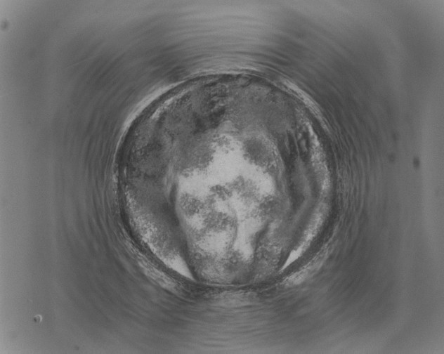 X0000076350779200610161758