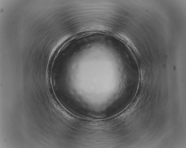 X0000076350780200610161758