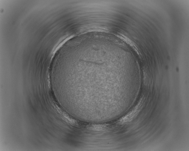 X0000076350782200610161758