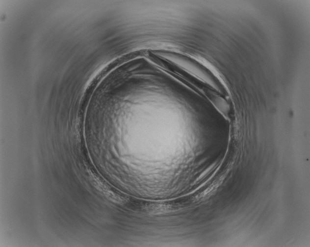 X0000076350783200610161758