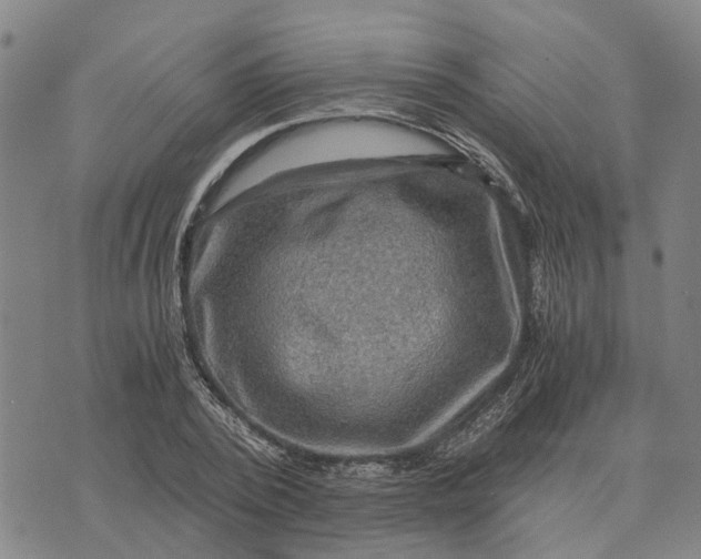 X0000076350784200610161758