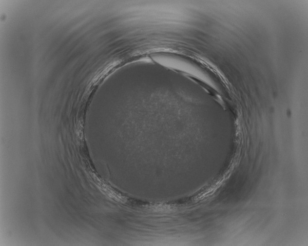 X0000076350785200610161758