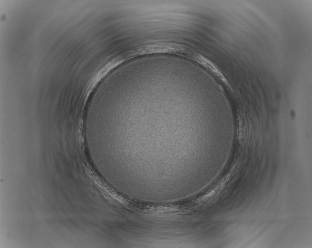 X0000076350786200610161758