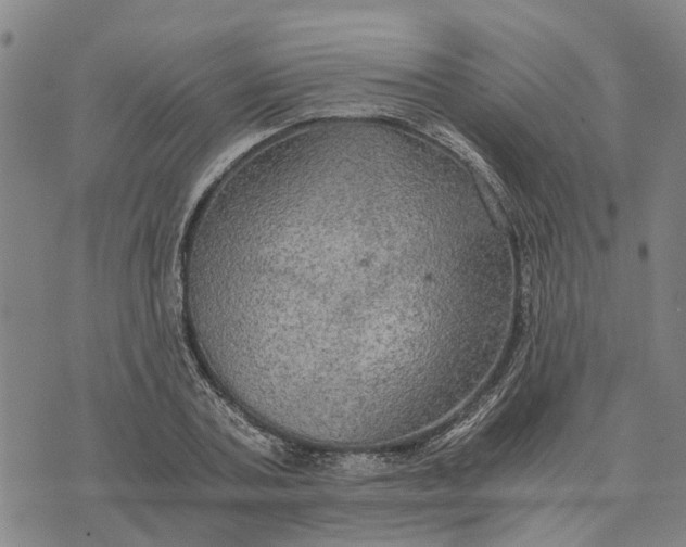 X0000076350787200610161758