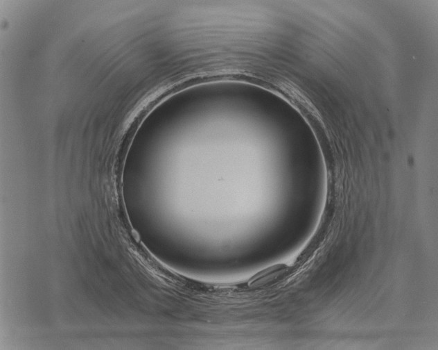 X0000076350789200610161757