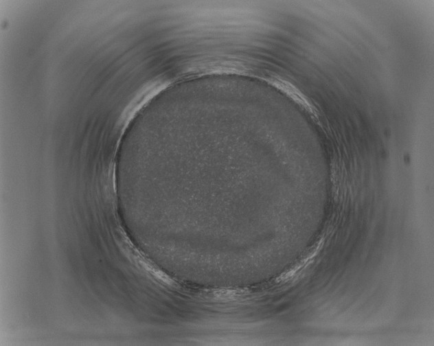 X0000076350790200610161757