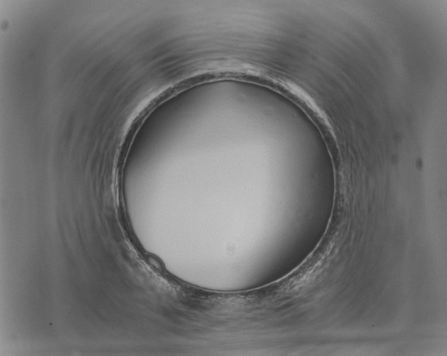 X0000076350791200610161757