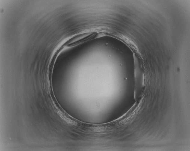 X0000076350792200610161757