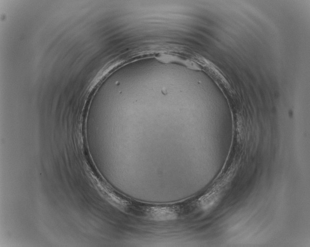 X0000076350794200610161757