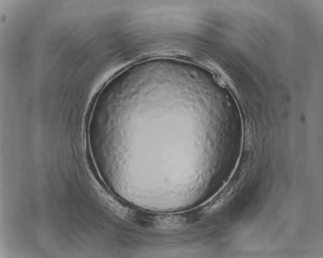 X0000076350795200610161757