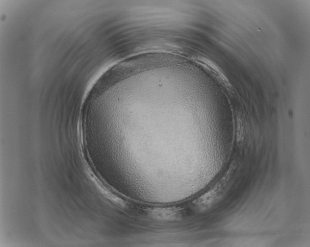 X0000076350796200610161757