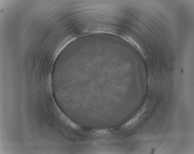 X0000076350798200610161757