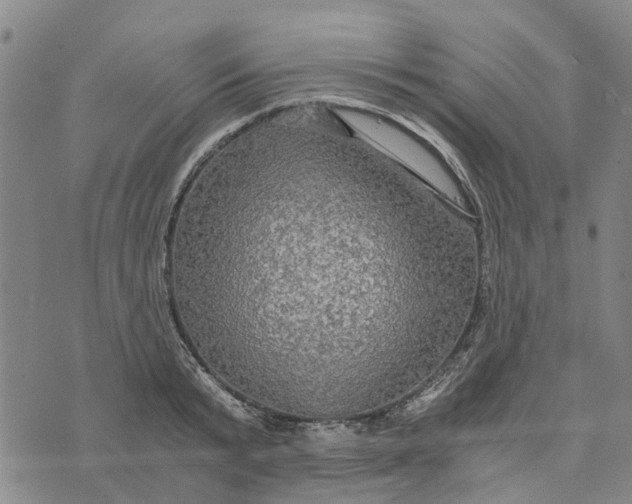 X0000076350799200610161757