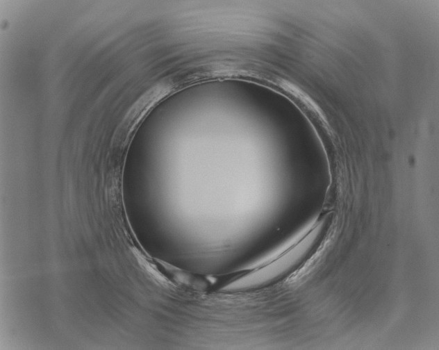 X0000076350801200610161757