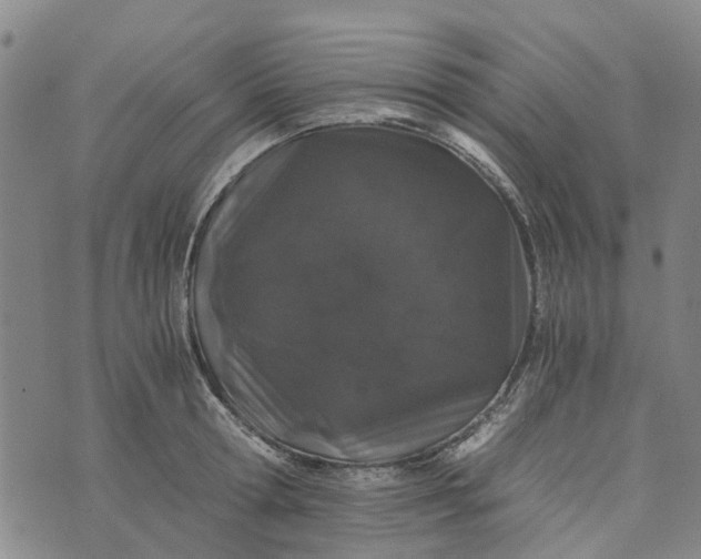 X0000076350802200610161757