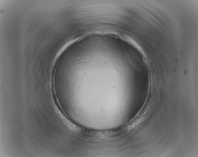 X0000076350803200610161757