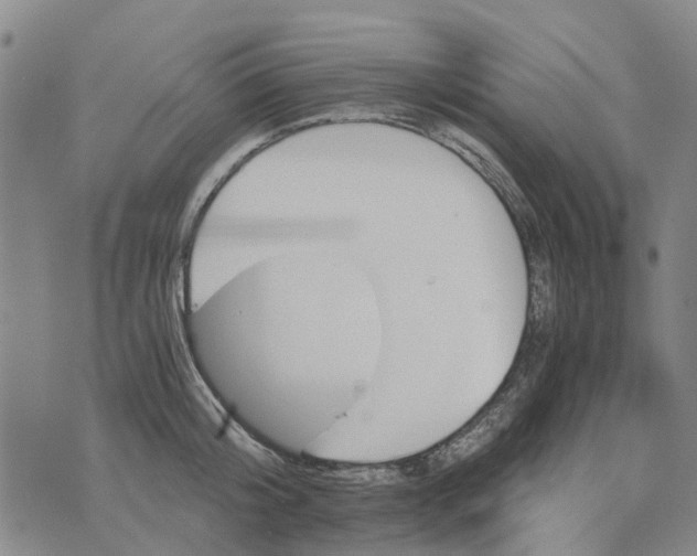 X0000076350804200610161757