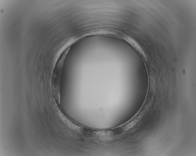 X0000076350805200610161757